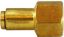 Picture of Midland - 20032 - 1/8 X 1/8 PUSH-IN X FIP Adapter