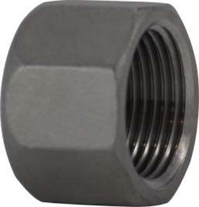 Picture of Midland - 62075 - 1/8 304 STAINLESS STEEL HEX CAP