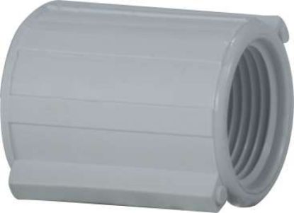 Picture of Midland - 55951 - 3/4 PVC ThreadED Coupling