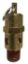 Picture of Midland - 87002 - 1/4 NPT 125 PSI ASME Coded Safety Valve