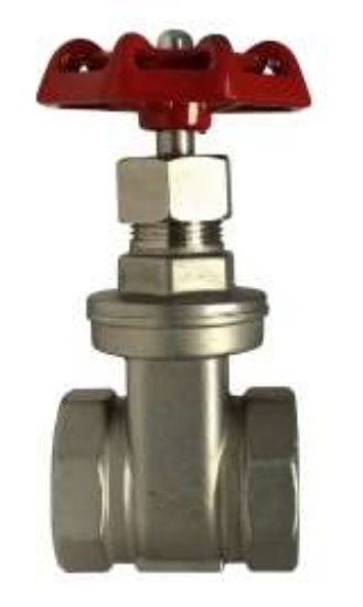 Picture of Midland - 949253 - 1/2 316 SS GATE VALVE